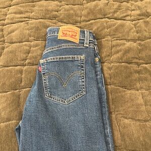 Levi's Blue Denim Jeans